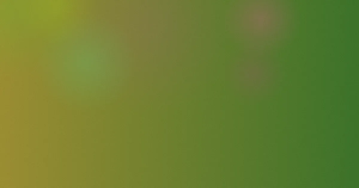 久久大伊人是什么？冷静讲清楚