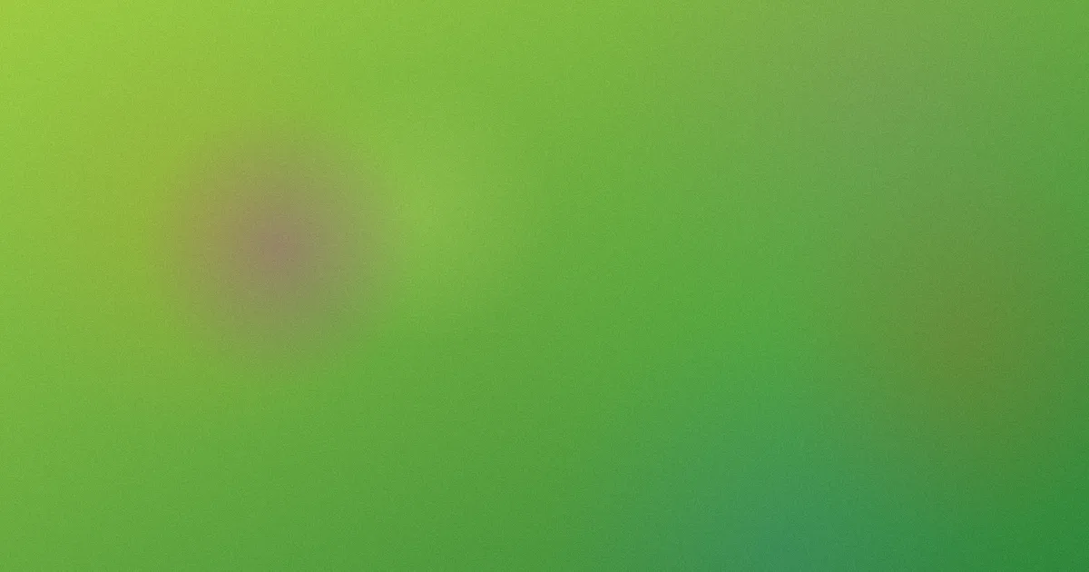 张鑫推荐：新手入门指南